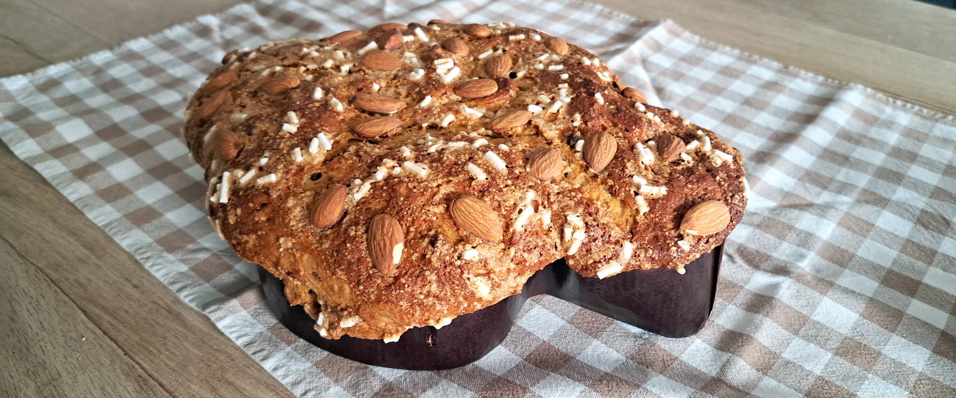 Colomba uvetta e gocce di cioccolato